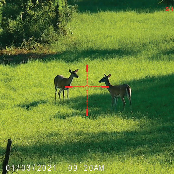 Sightmark Wraith 4K Mini 4x Digital Night Vision Riflescope