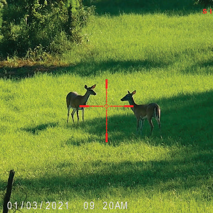 Sightmark Wraith 4K Mini 4x Digital Night Vision Riflescope