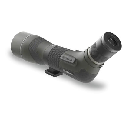 Burris Spotter Signature HD 20-60x85mm (Green)